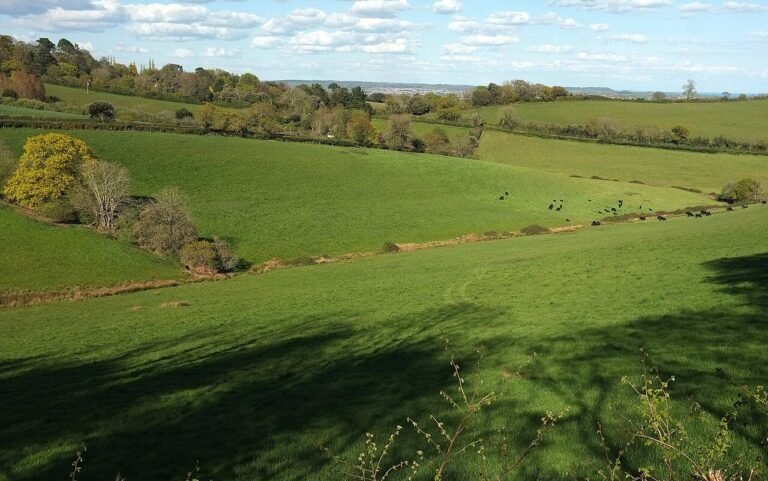 ASHCOMBE MANOR