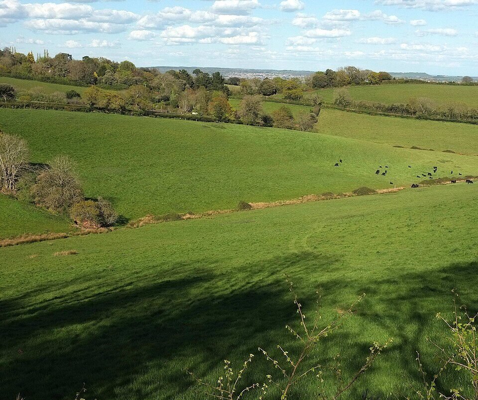 ASHCOMBE MANOR