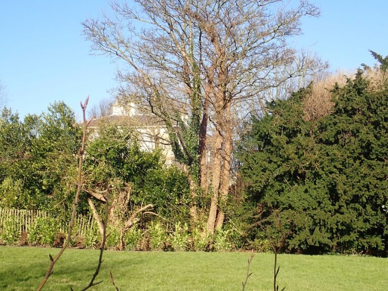 ASHLEIGH MANOR