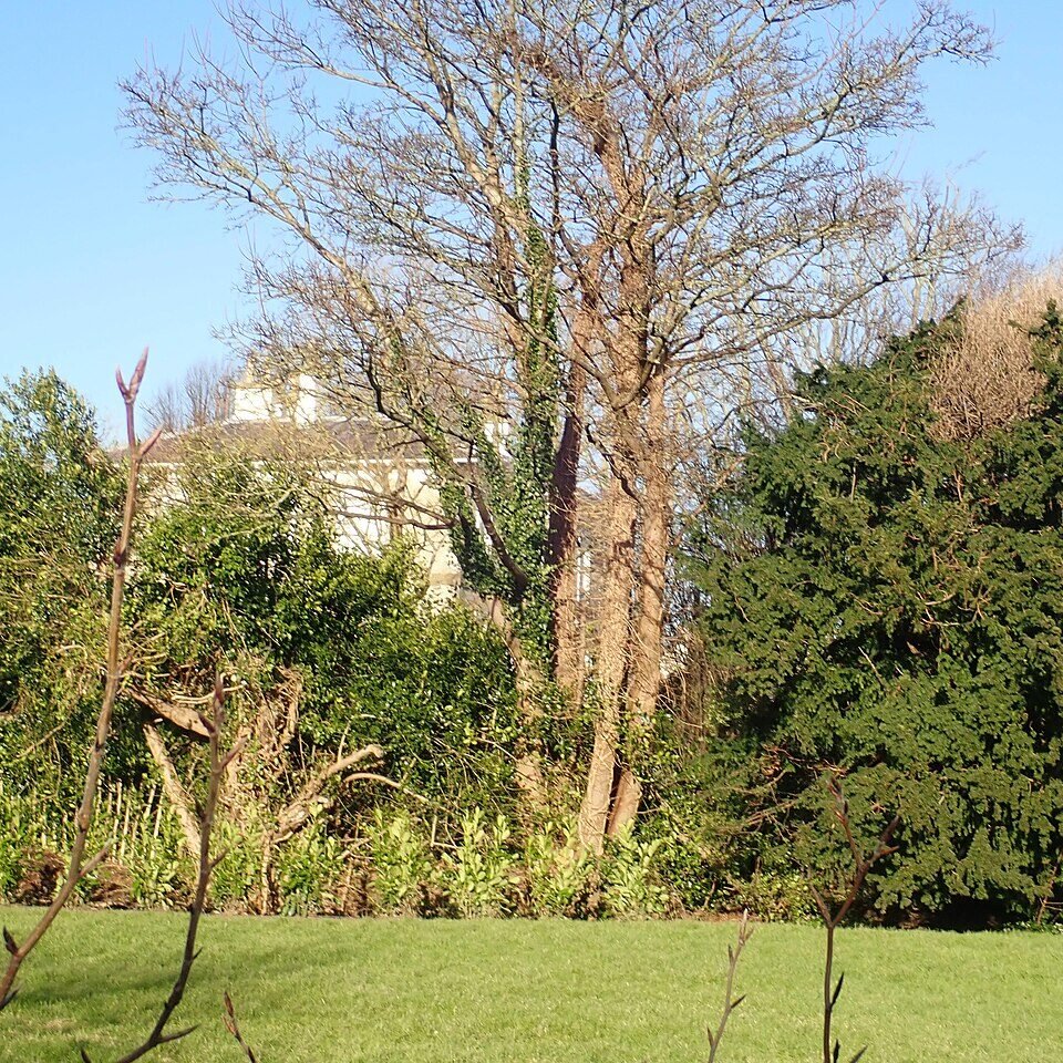 ASHLEIGH MANOR