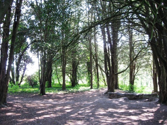 ASTON CLINTON MANOR