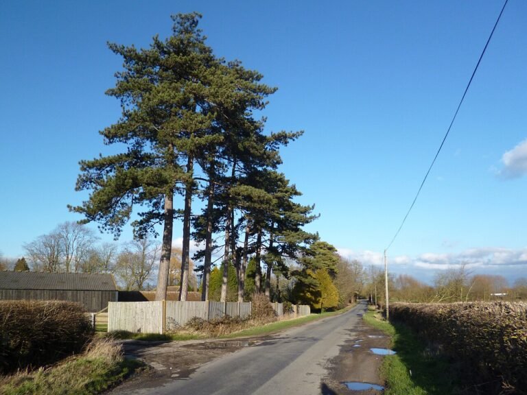 ASTON MANOR