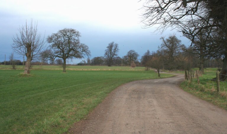 AUSTERSON MANOR