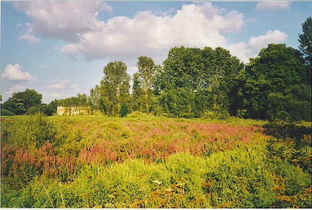 AVINGTON MANOR