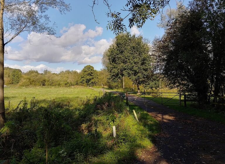 AVINGTON MANOR