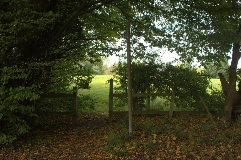 AYOT ST PETER MANOR