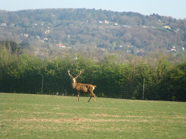 BACKWELL MANOR