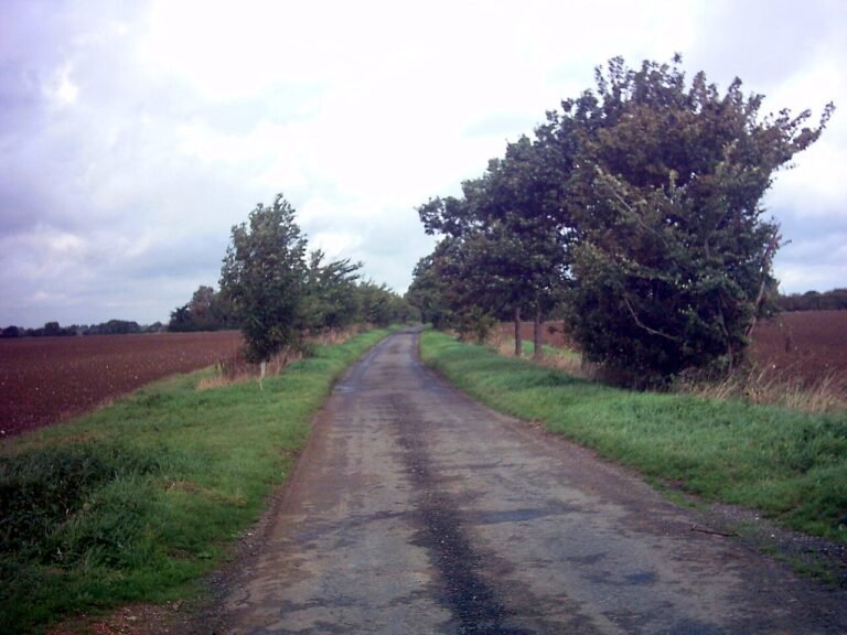 BADINGHAM MANOR