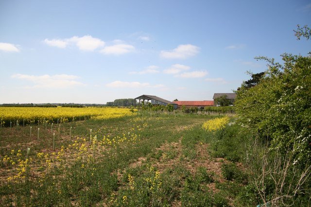 BARLINGS MANOR