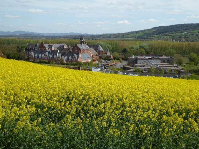 BARTESTREE