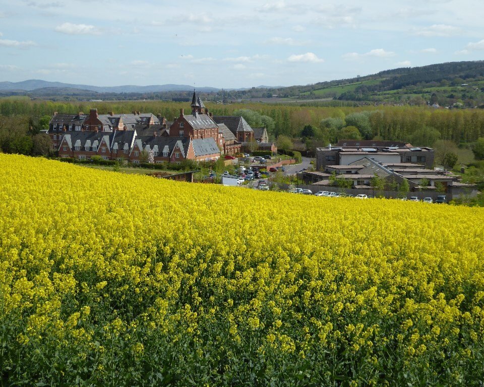 BARTESTREE