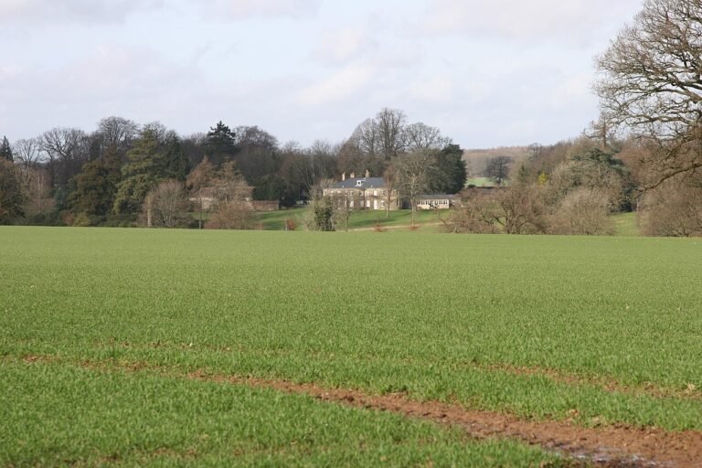 BASING PARK MANOR
