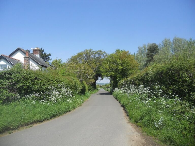 BATHINGBOURNE MANOR
