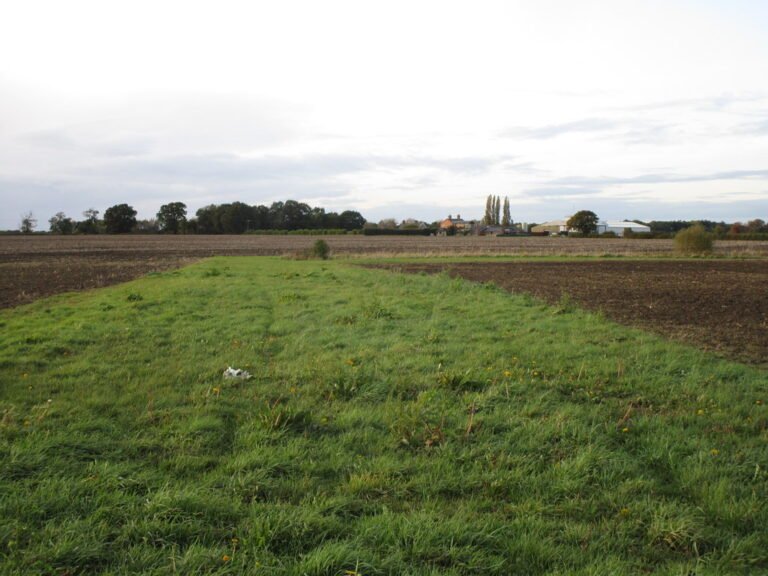 BECKINGHAM MANOR