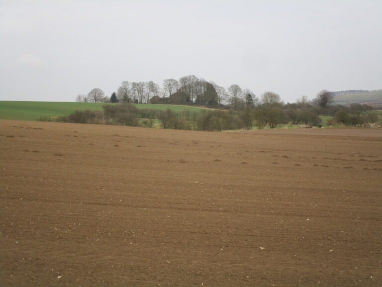 BELCHFORD MANOR