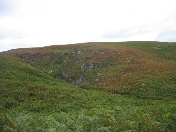 BEWICK