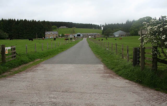 BIDDLESTONE