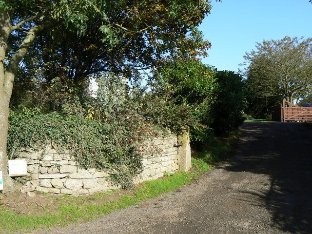 BINGFIELD