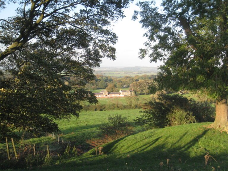 BIRDSALL MANOR