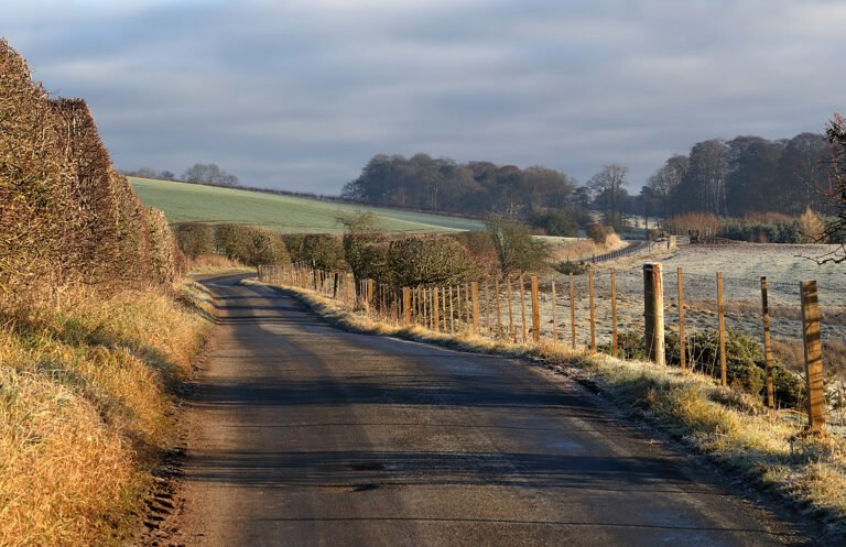BIRKINSIDE