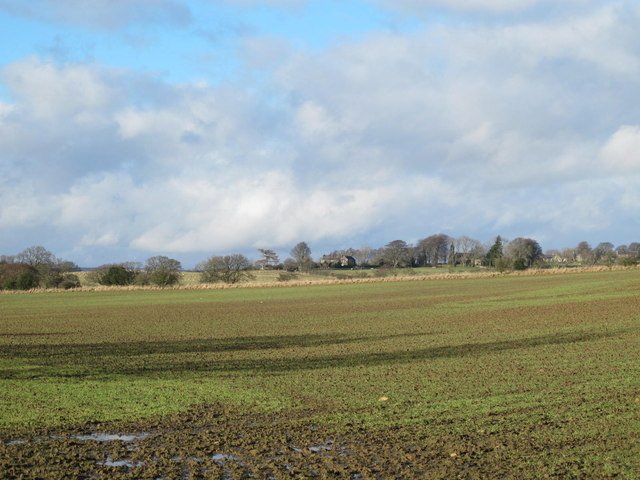 BIRTLEY