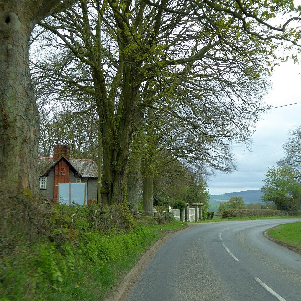 BISHOP'S CASTLE MANOR