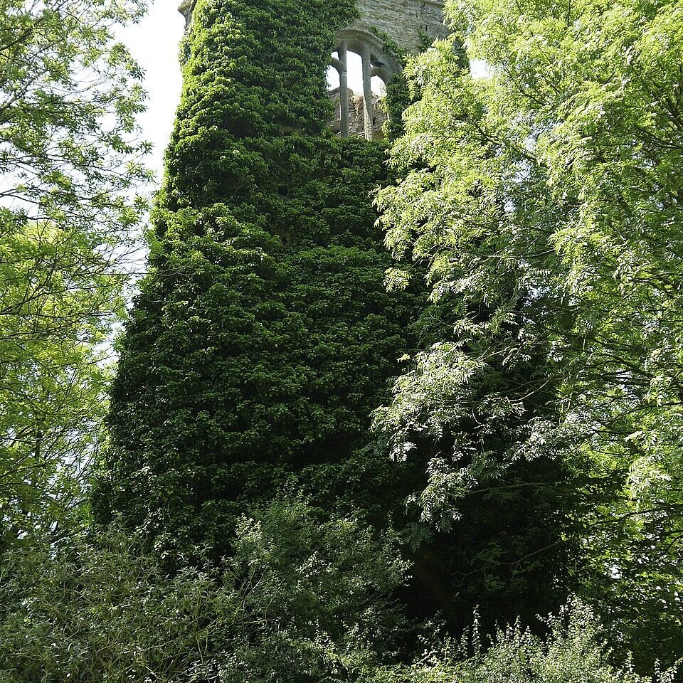 BISSOE MANOR