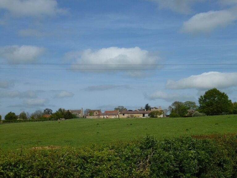 BITCHFIELD MANOR