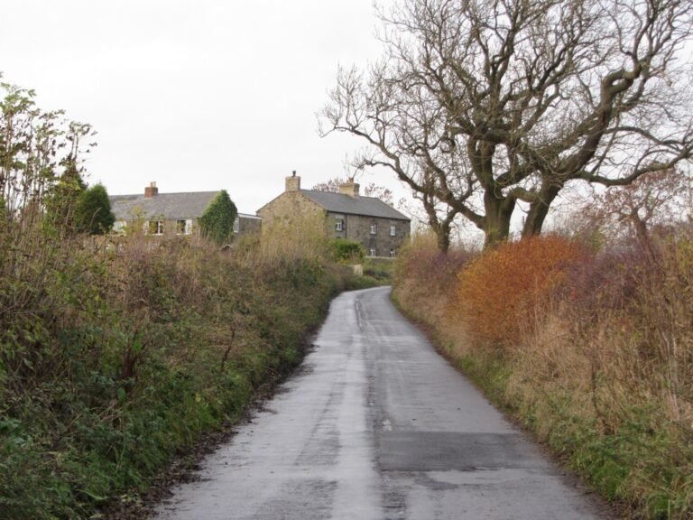 BLACK CALLERTON