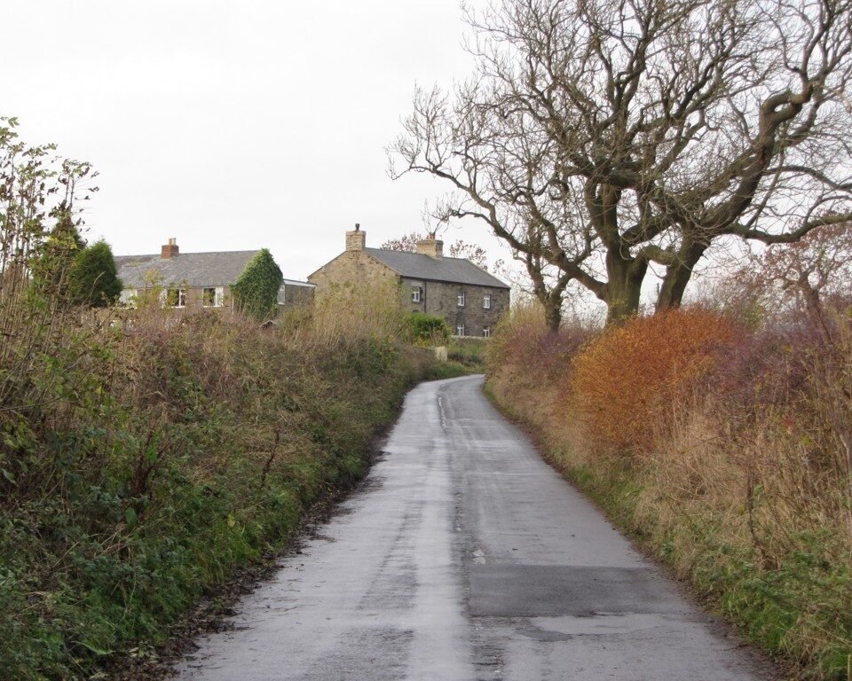 BLACK CALLERTON