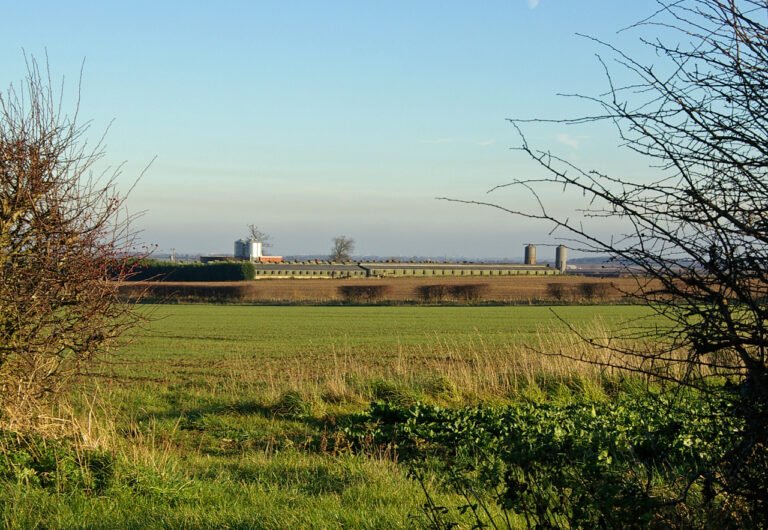 BONBY MANOR