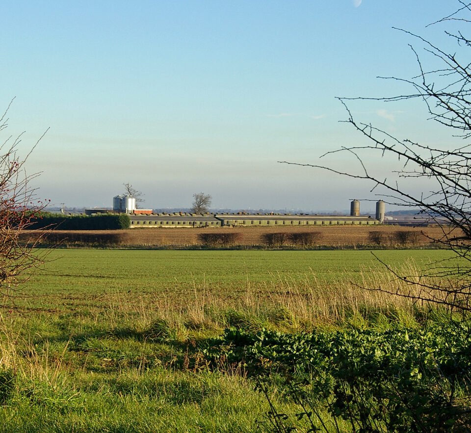 BONBY MANOR