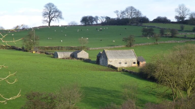 BONSALL MANOR