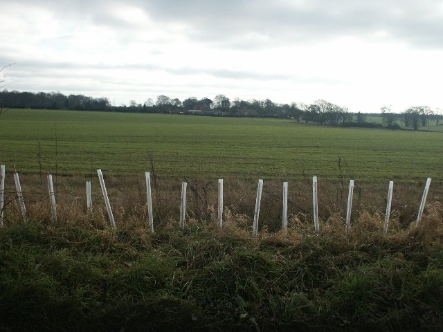 BOWTHORPE MANOR
