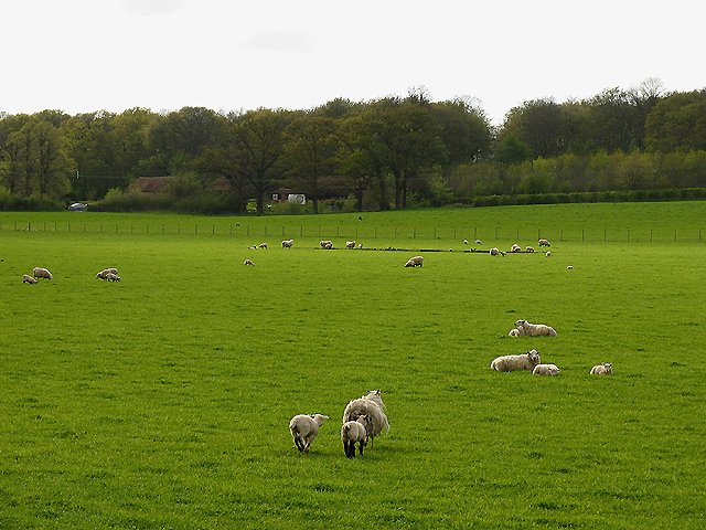 BRADFIELD MANOR