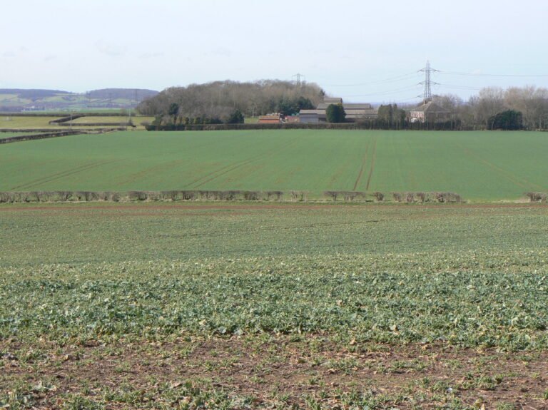 BRADMORE MANOR