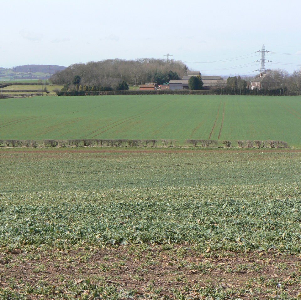 BRADMORE MANOR