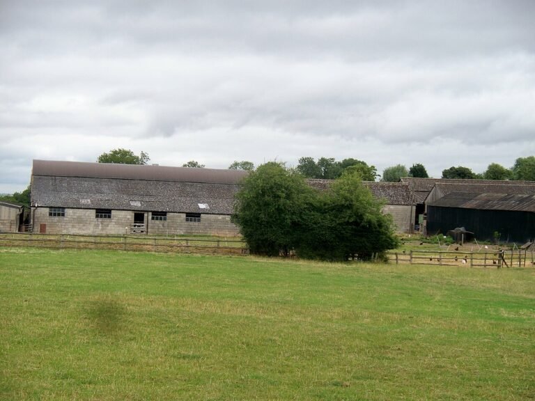 BRAILES MANOR