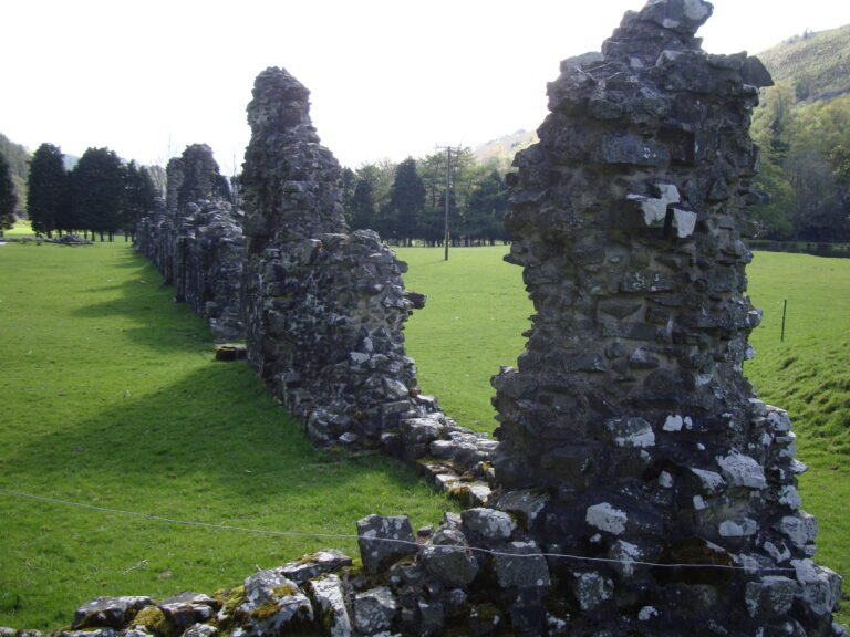 ABBEY CWMHIR MANOR