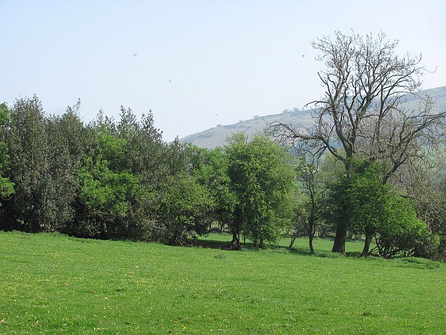 ABDON MANOR