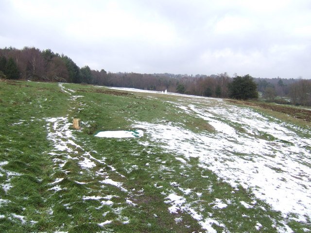 ALCHORNES MANOR
