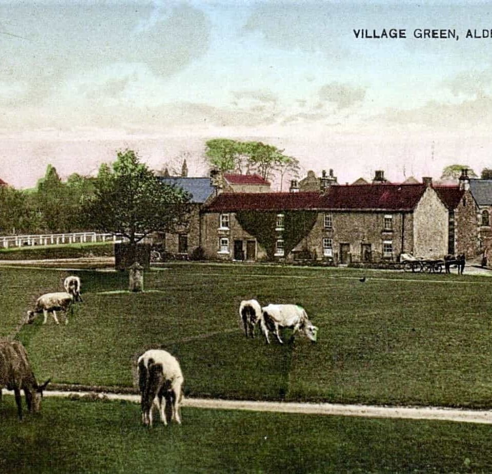 ALDBROUGH MANOR