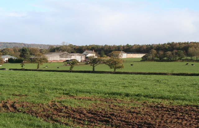 ALLER MANOR