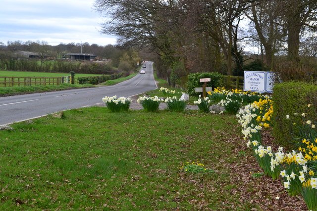 ALLINGTON MANOR