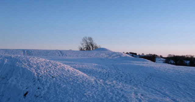 ASENBY MANOR